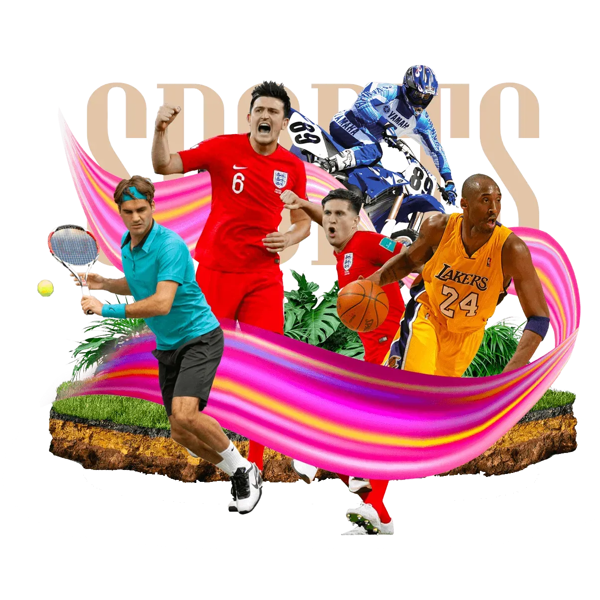 精品伊甸乐园入口2024在线体育赛事